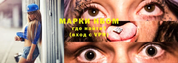 твердый Арсеньев