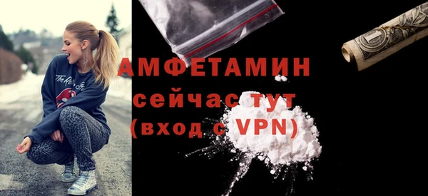 индика Карпинск