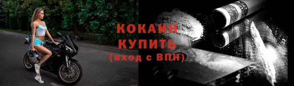хмурый Нея