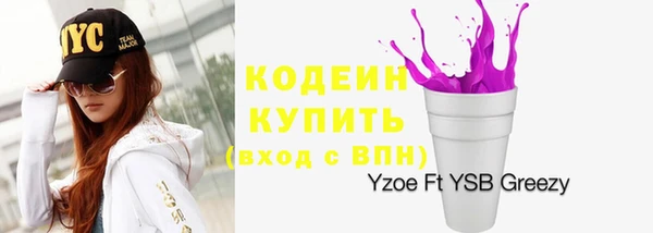 твердый Арсеньев