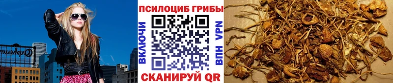 Псилоцибиновые грибы Cubensis  Радужный 